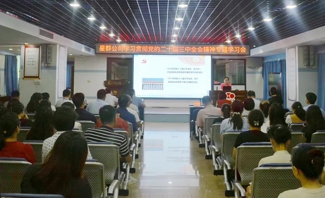 星群公司舉辦學(xué)習(xí)貫徹黨的二十屆三中全會精神專題學(xué)習(xí)會